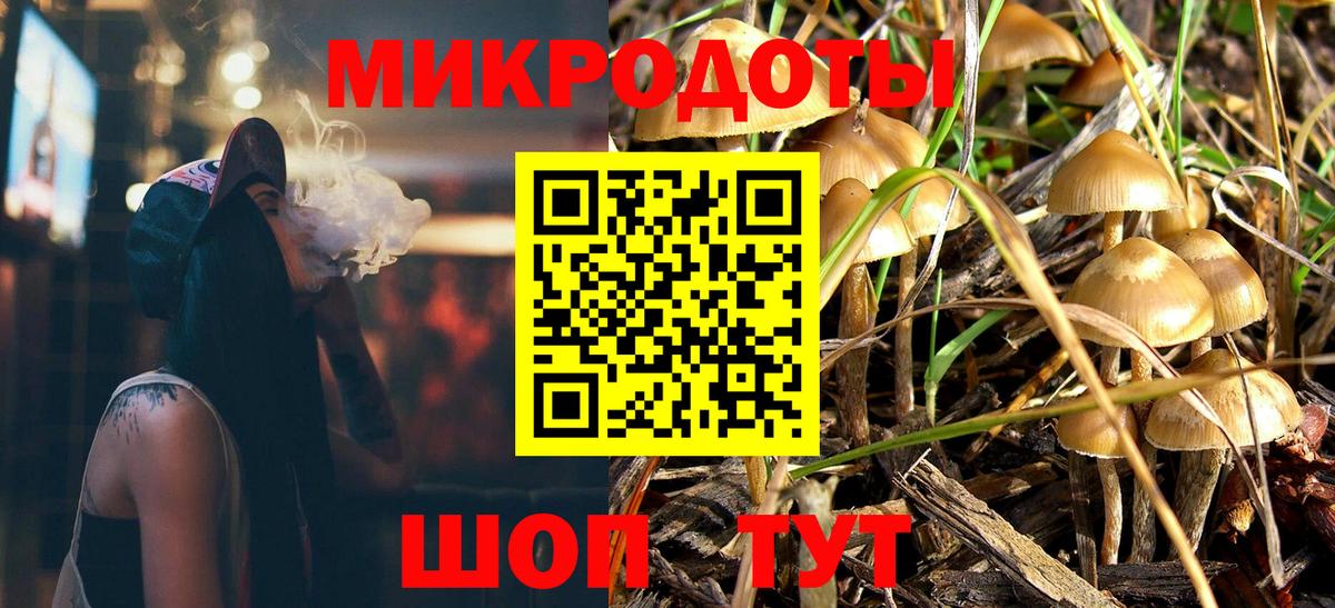цены наркотик  Псилоцибиновые грибы Psilocybine cubensis  Вход с VPN  Славянск-на-Кубани 